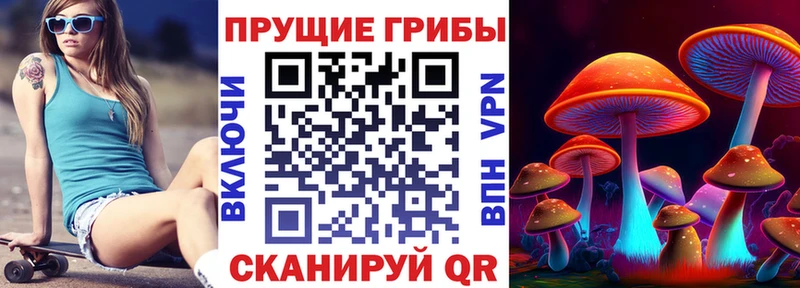 Псилоцибиновые грибы Psilocybe  Купить закладки  Кимовск 